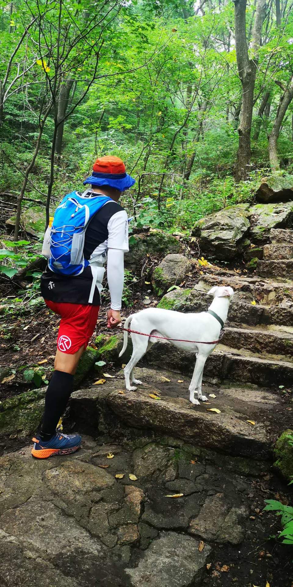 CRNJ9k-HhUueLaklDoqtMCYPAWAZ6Jb5m5xYkWrUu8rolVNQmg1M9EcnBhOG4GxY