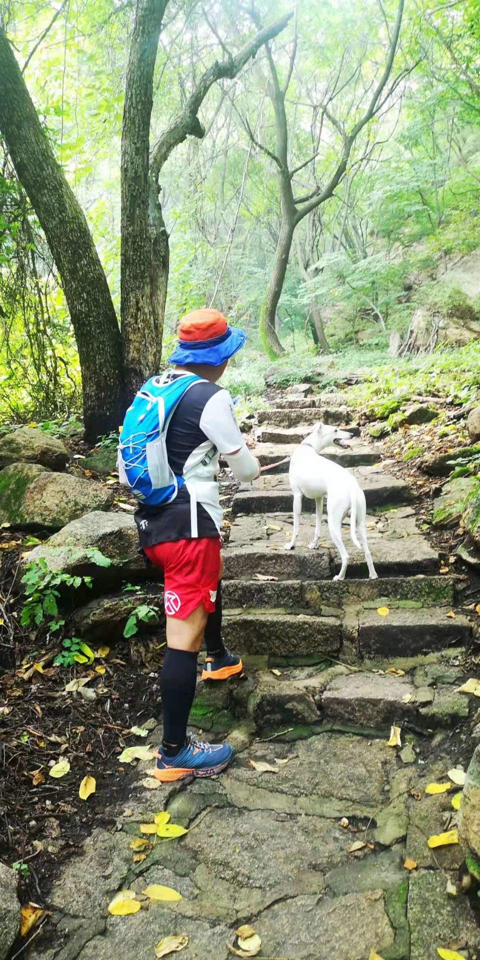 BdOy9ADtSDNopmsLMrna9rpQLKYZtKXrRLJacll7pOcEnxk7vo5Fw0vh7xYg6v6j