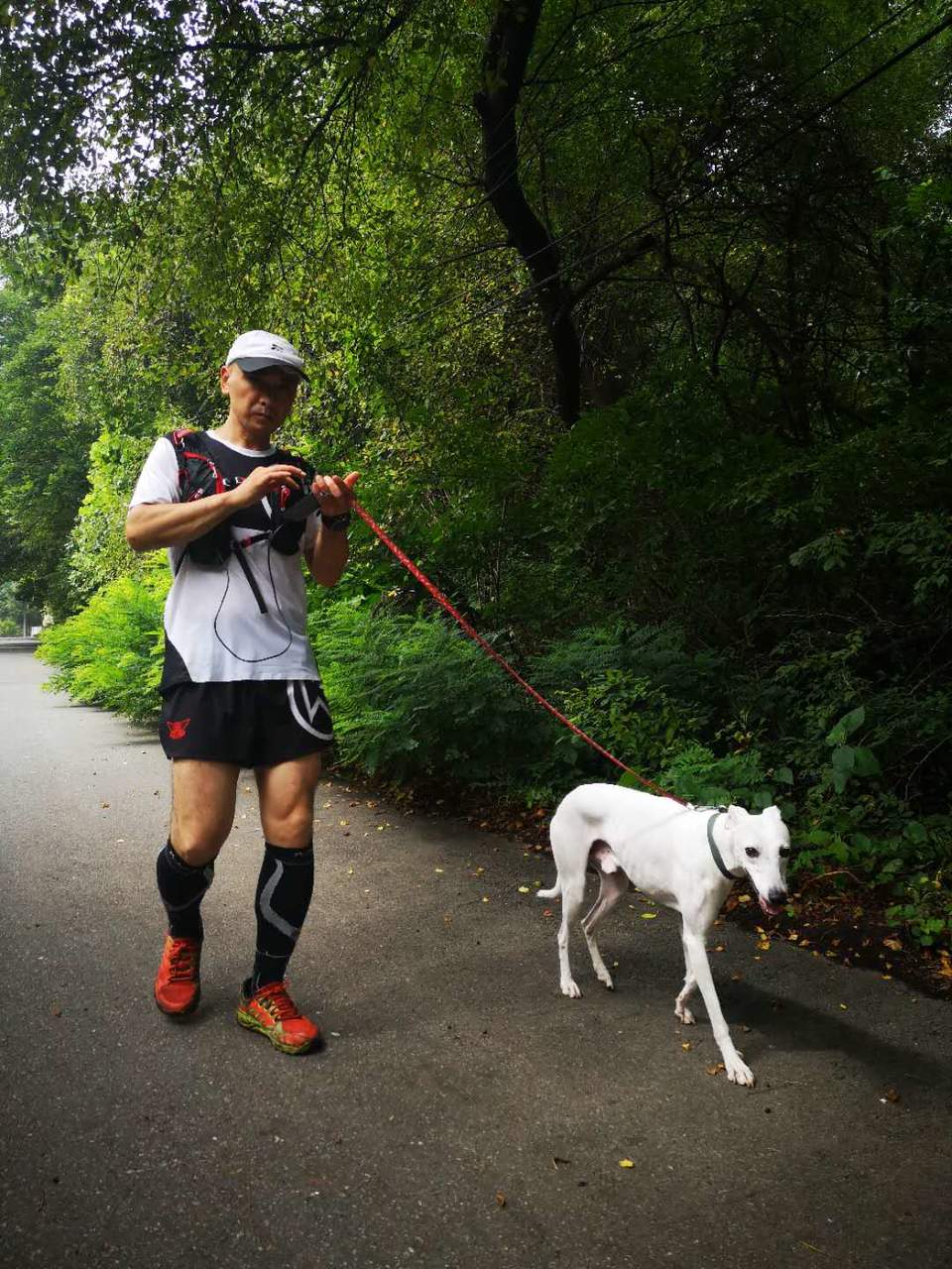 BdOy9ADtSDNopmsLMrna9pJ2oMLgUAL7CU-CXi3ZnpN2G33AsZ9sRzOlRi4w6MtX