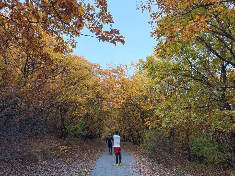 LQLhE7M4PEghdqFZOkDNTV6_RTDxXx5BNrefUnO6WEyAe1Ep8Bs-sBChjV6by53R