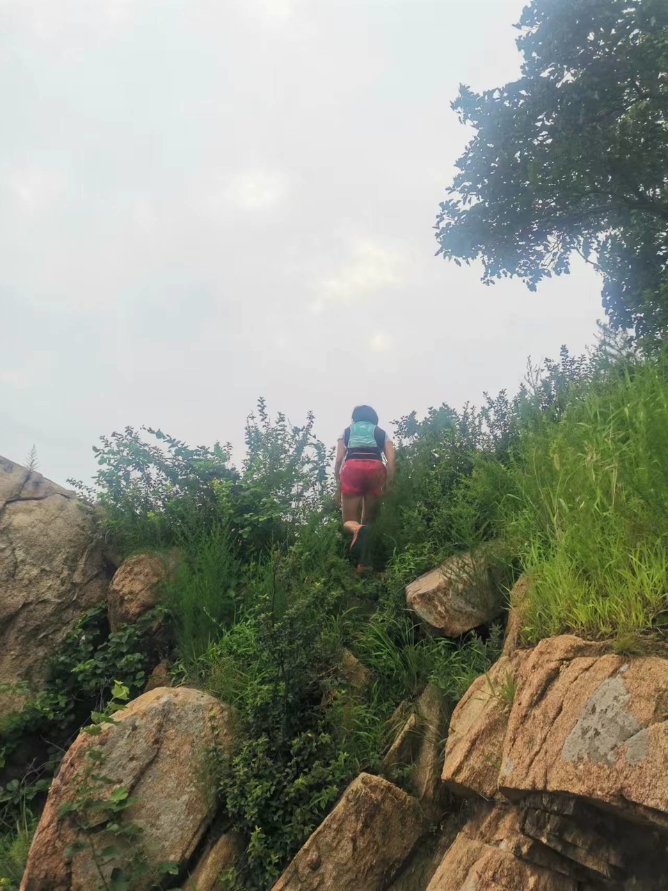 1ptsSa_GJAe3h4UDj29LO6_tgfxuc_hxtG44X-tf4uoYsqZdTMN4TGiie1RTETQN