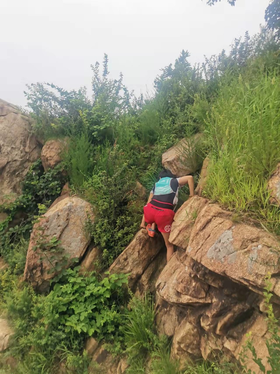 1ptsSa_GJAe3h4UDj29LOyF-vNlGbHzNPxRoFMPNbaxZjJS-splORHDxKy6i7tir