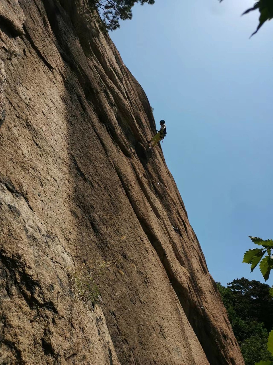 jp7FZpSSPpAvZv7VmCt7mEukZbNWCSLqftENopDEXPIa7Yae3irNDSvU1FVncjci