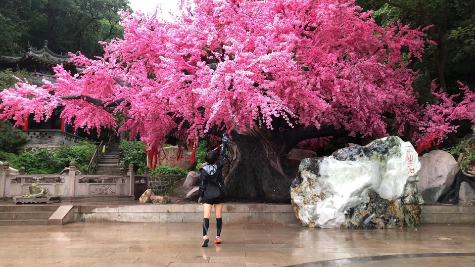 jp7FZpSSPpAvZv7VmCt7mGyIQVaHCX_T0Bd8k4dxXo7R57quRfqLsf1fdikvx4yY