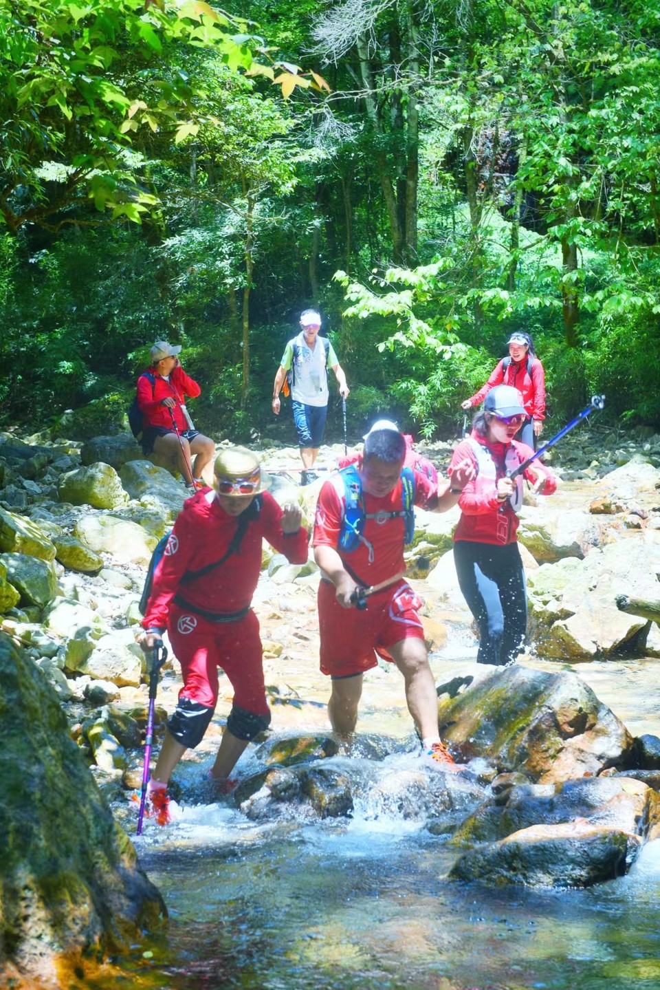 E84VgRYDIpFyT529r7dqG7HGqSV5lblCySieqA4sV6ojj9rTkRYXla84J289b7gY