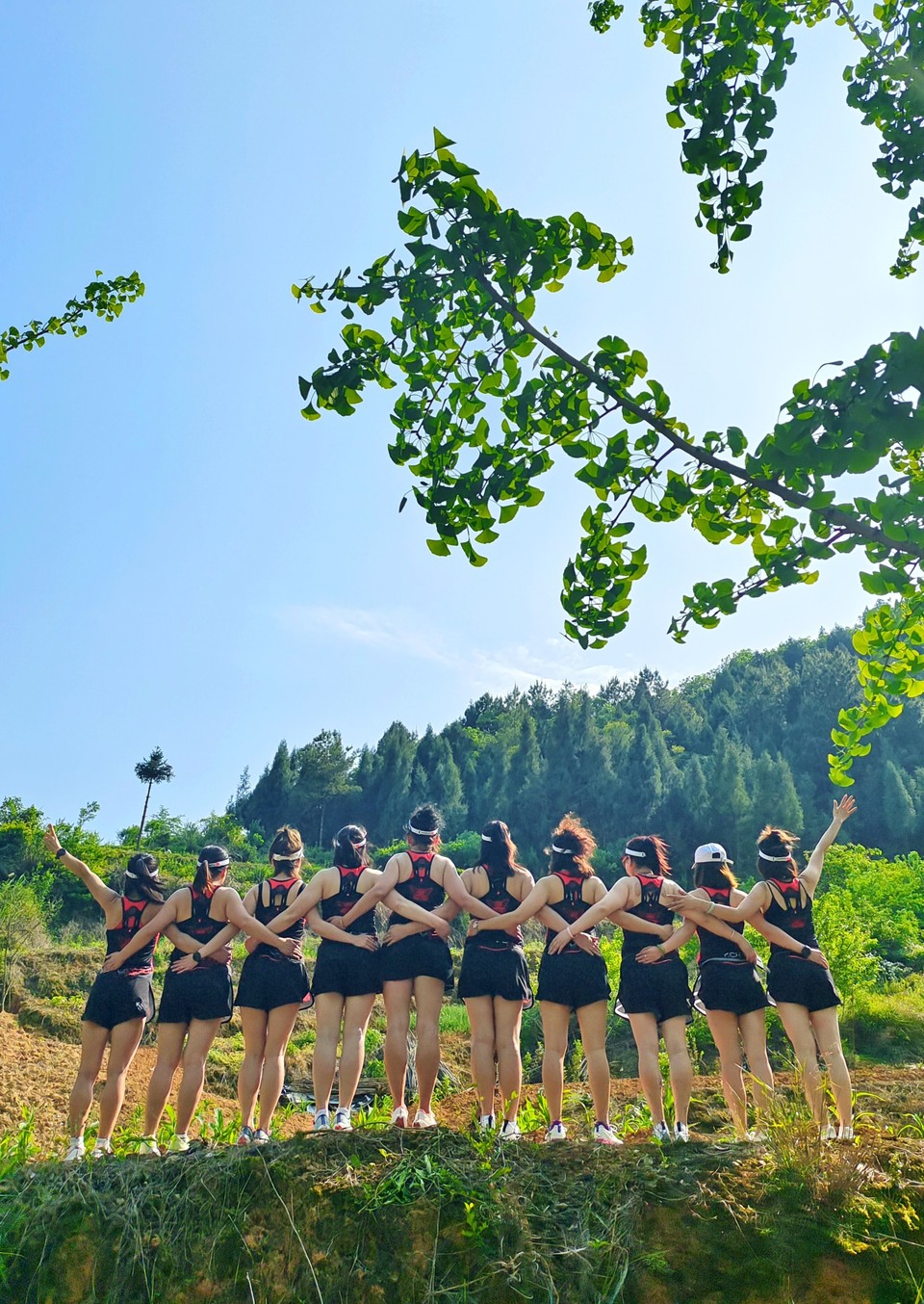 _T_blaQGFDlVBM6-ivam99Fa8hXS7l28Cao2-MPxIgYXj6gw--MtWVr3HPhz2TwX