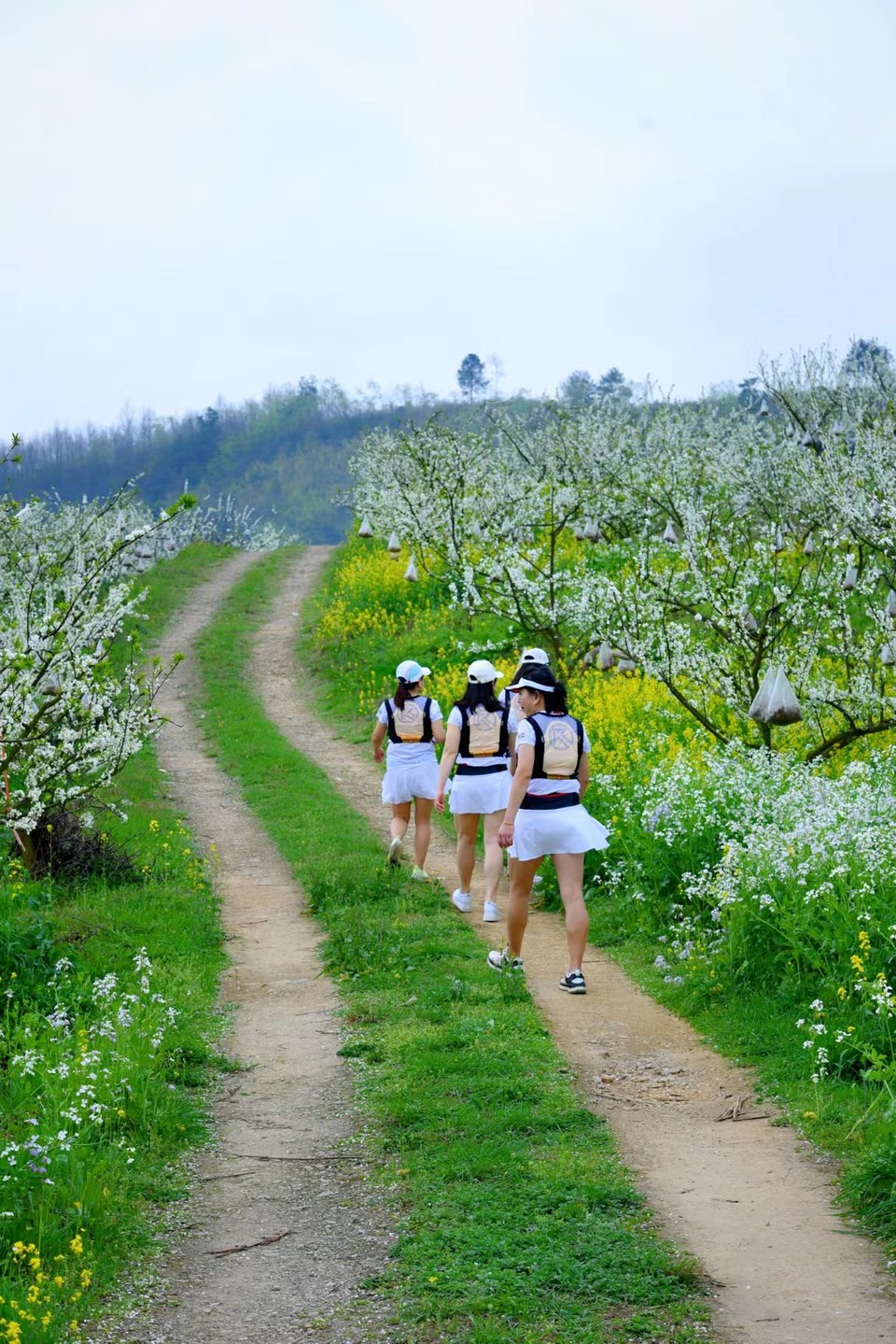 zJeIkQ3u6L0GpMHp489plyIGN4PrmHo_Lbm6Jo1A5AUvPoCNuoK-XsCXLCZ34vvq