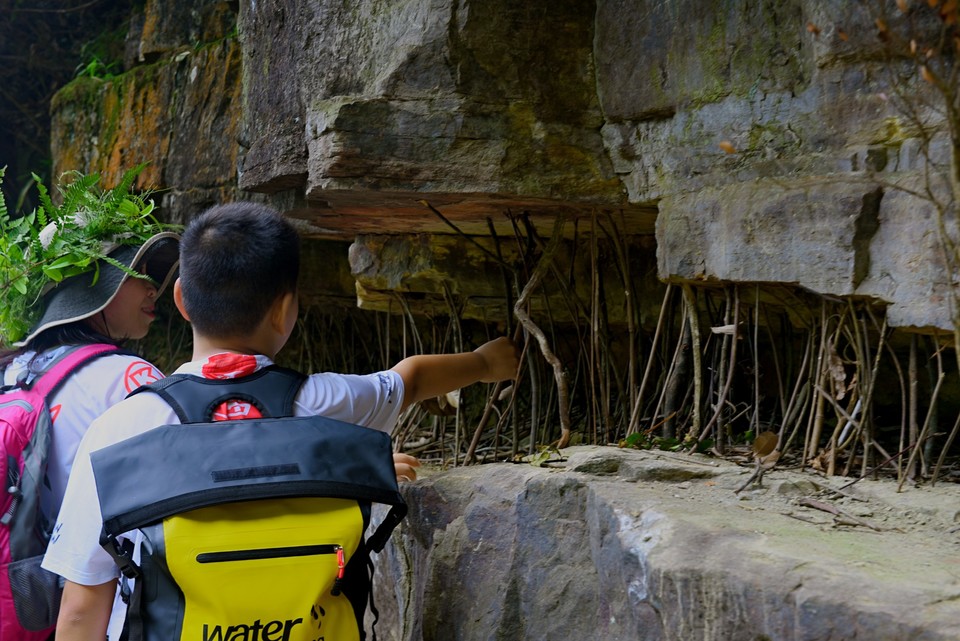 9YGEHfzlYNwSjv1-4bObXhELKaq3ayoxGSBGjrlhPaYDrRXhZW9-SfQf-i5W4Xaz