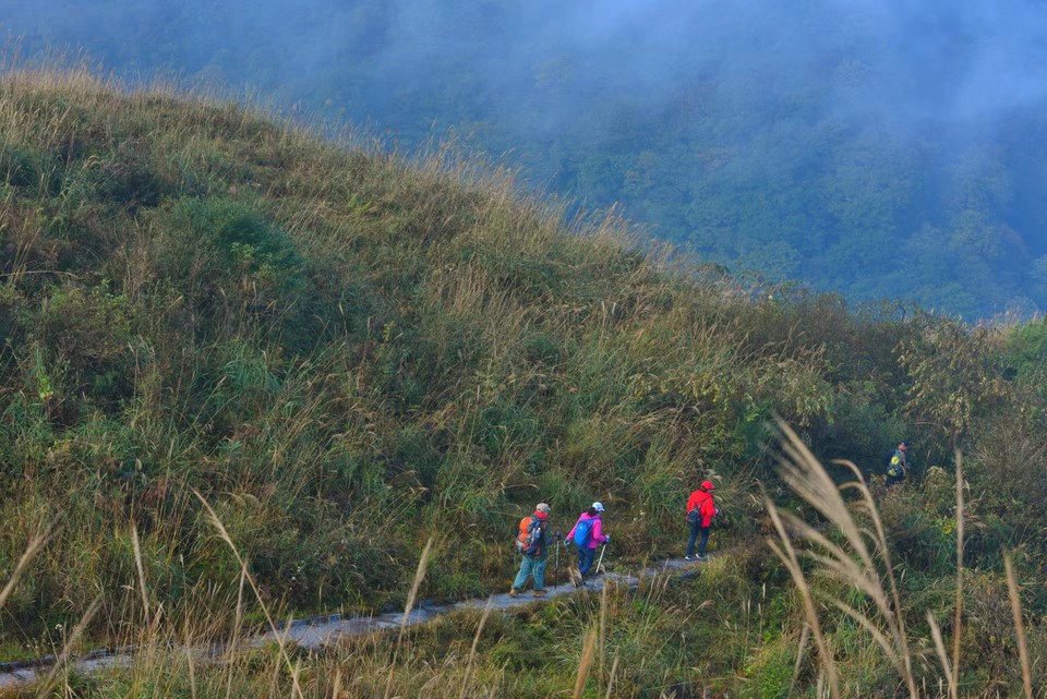 hbV77rSNpiDuQF-w13jBgkMnMaEafUJgyQprLfsq24cNt0sht71F998AWg8KTJW5