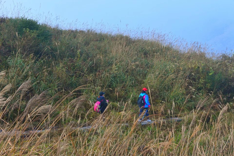 hbV77rSNpiDuQF-w13jBghMYySVQqkZt6KV6eGPzfLQFK9lrr30E7fmt5BYElMO6