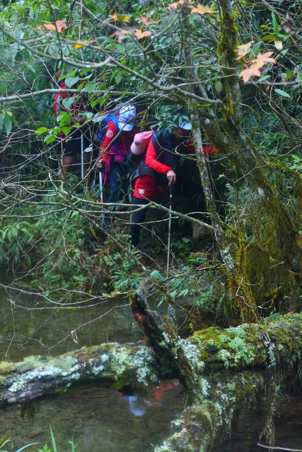 hbV77rSNpiDuQF-w13jBglWCfCUbY2jn2kt6w4fhO_QKsBtFcXetmNe8FM9_s6yI