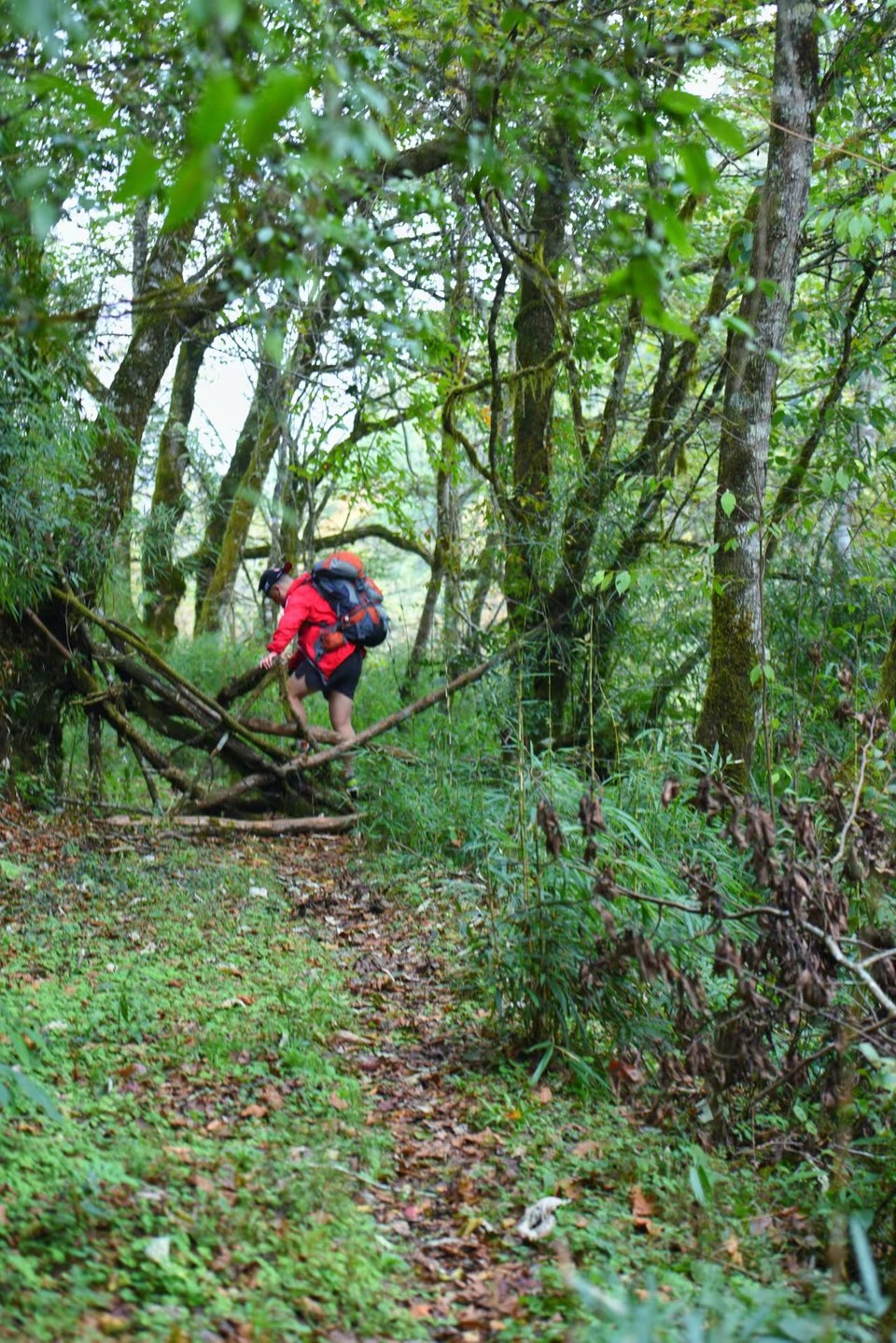 hbV77rSNpiDuQF-w13jBgopODbpahA-_WtrcvbgFGVKGLVDvxerPa-8OwIU_MGA1