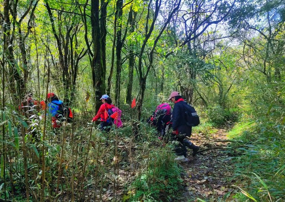 hbV77rSNpiDuQF-w13jBgtY8AZ6Kq0G5EG1CzvNbwK4LbNI9Z-u5Luss9Ym_EZeu