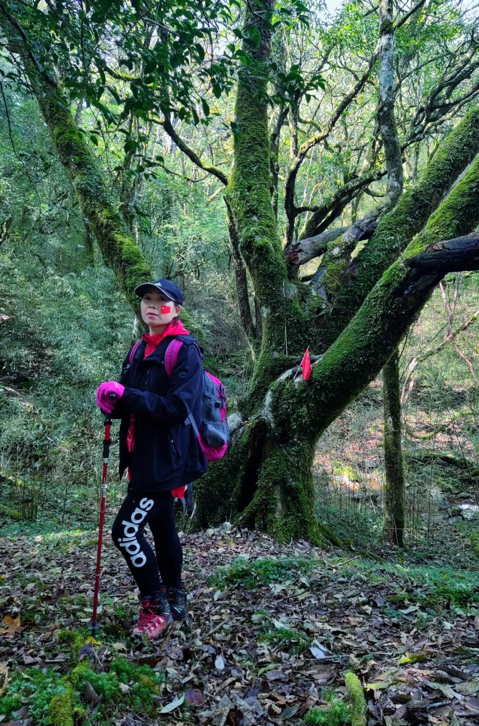 hbV77rSNpiDuQF-w13jBgoIq5xP3YzG065Fszt_hLC0gUAp-v0KIZq0omYQwpy8b