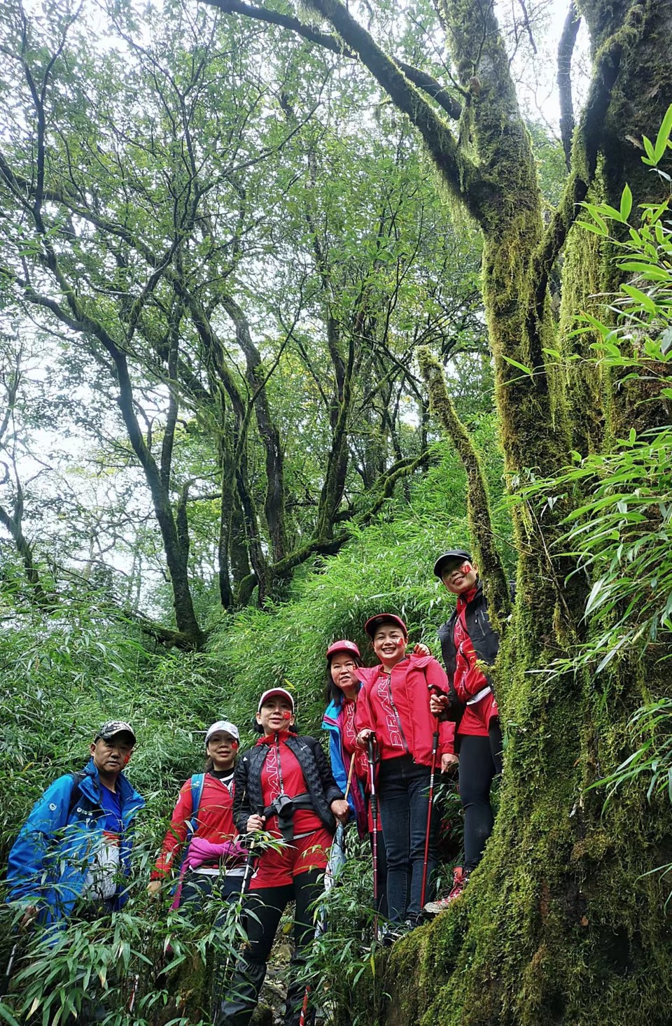 hbV77rSNpiDuQF-w13jBghd2_mHHYa3z5D0Wwb-27IWXYmyMLYXtQrTSunH7N70j