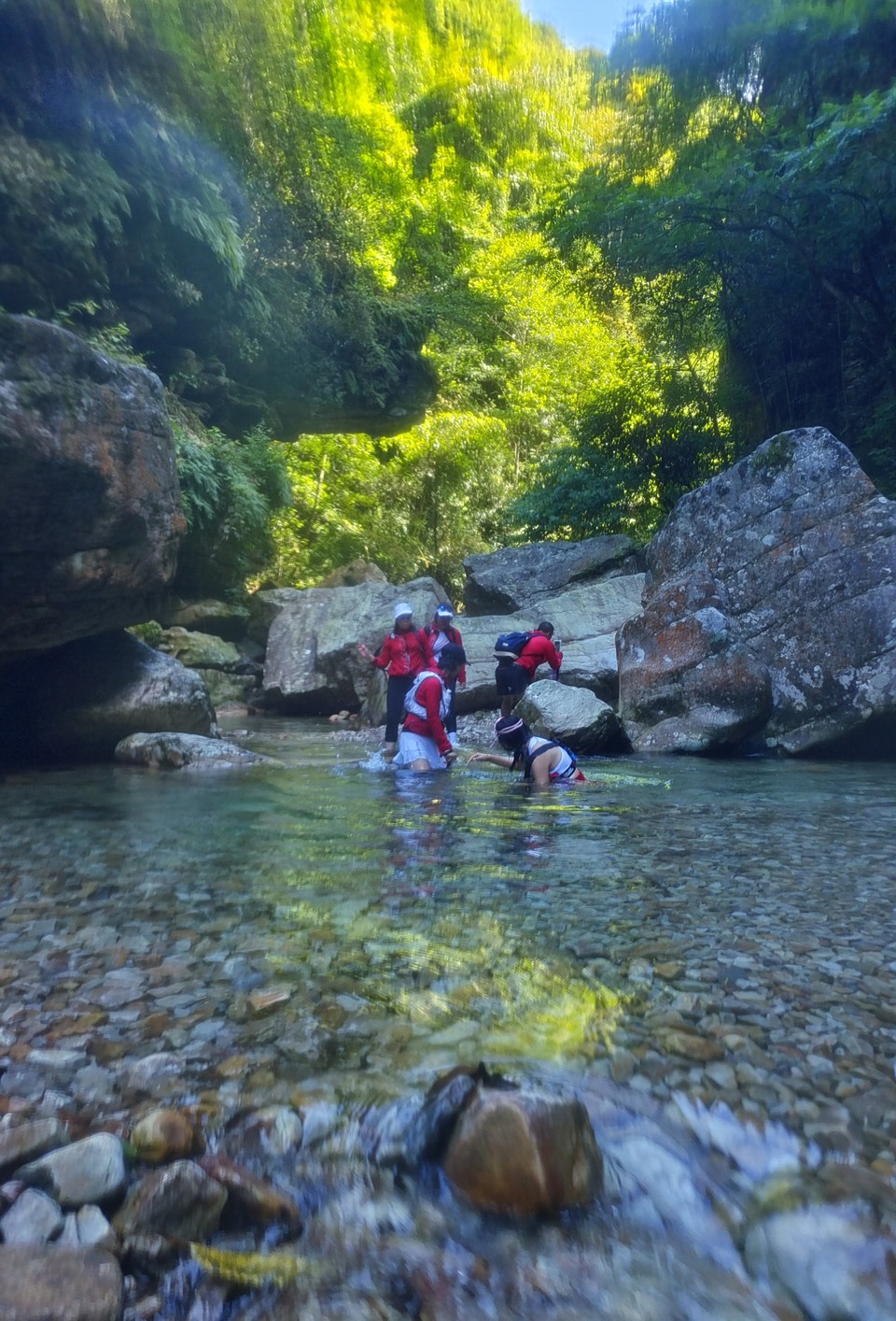 5vc_ePh4WXE8FHYZ5QspLyCdLJ9tb2oNVakK81S4NDlTtnE7_UM6yieqw2xVEdMs