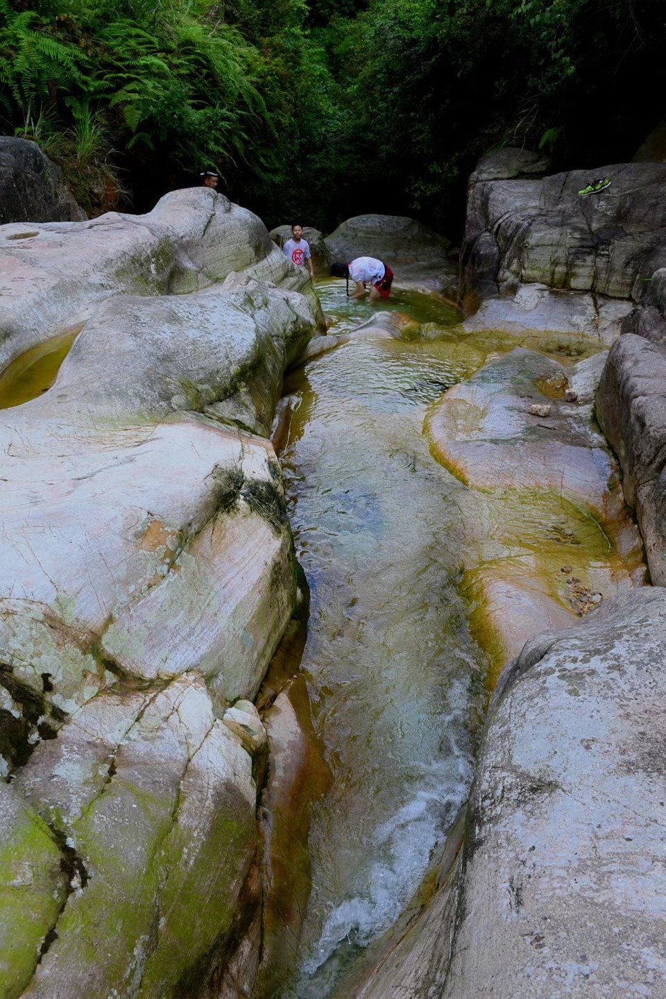 VW1gKR74J96a6Y0muCPA1kLVHE_zpjGZ400clShfrNjC3JyjaHtXE5CJbjLvVOf_