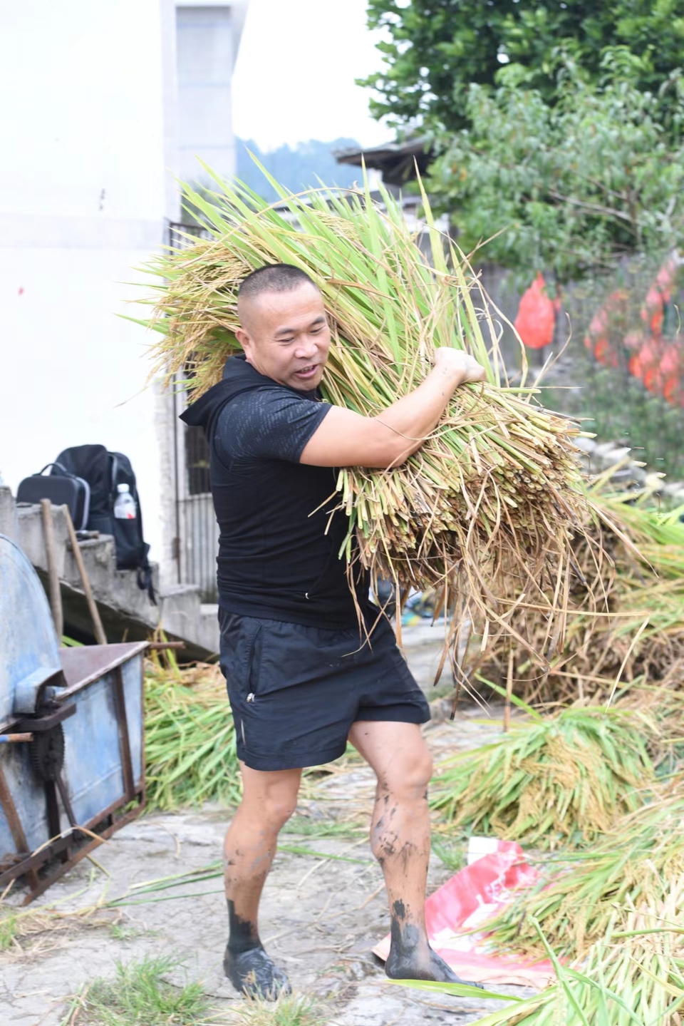 QHxUj5GCWDyDAvamyBH4ySWbhYPipweJlHNb7QBL7yaD3acni7yxxivf5Ph8M1lT