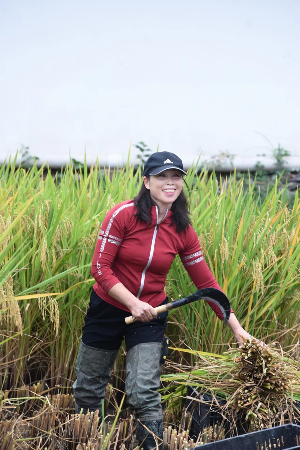 zME0DuHy4Wii076XG0d1N90uC92Jm8AASyX4AKyN7AovEbndmbyQMG9l02vpq3CS