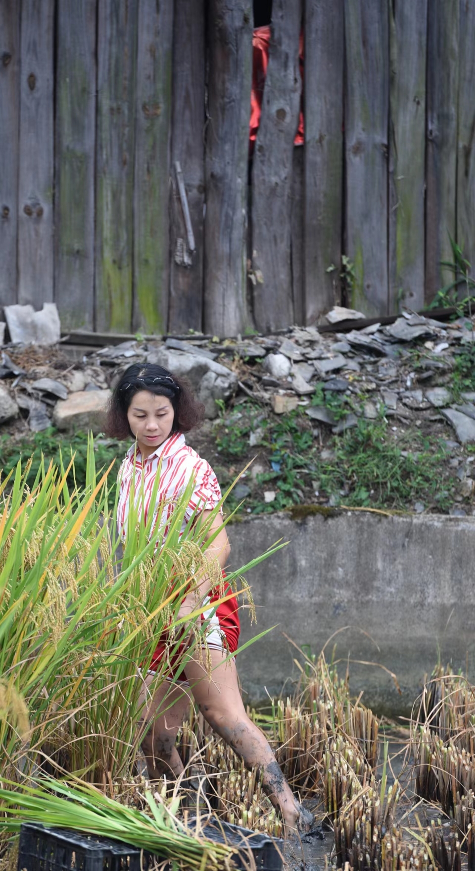 s52U__eyKRIJ7TB8RXS8r1_oYqbl9w31H8kJIAix901PdO2y1yL7v00cMydFaZ97