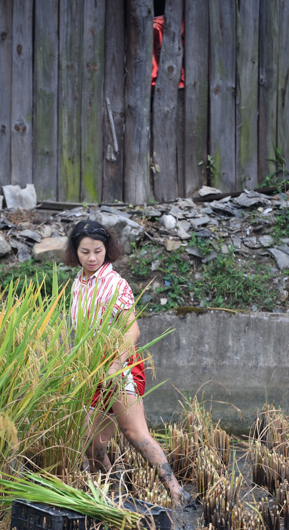 s52U__eyKRIJ7TB8RXS8r8noOOsejr8LqVHKchK5BLtxFZpXDP_yWTZXmVd5clrQ