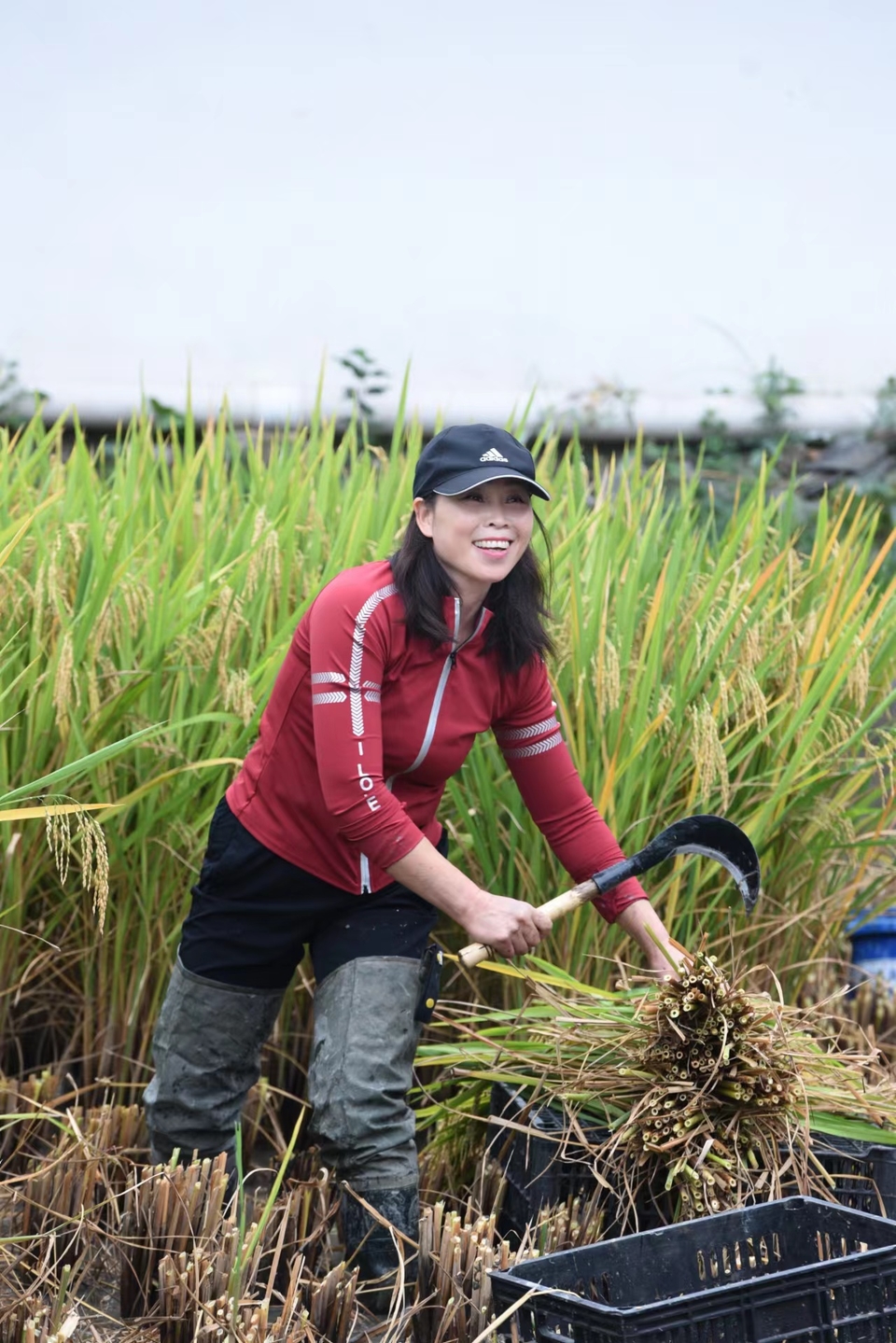 L4Cv9pQLPeeUUwZBxZgnqqlUPOFK6TYrs2XM381lkVJxSoKexMHYjGe0Zw11Ll6X