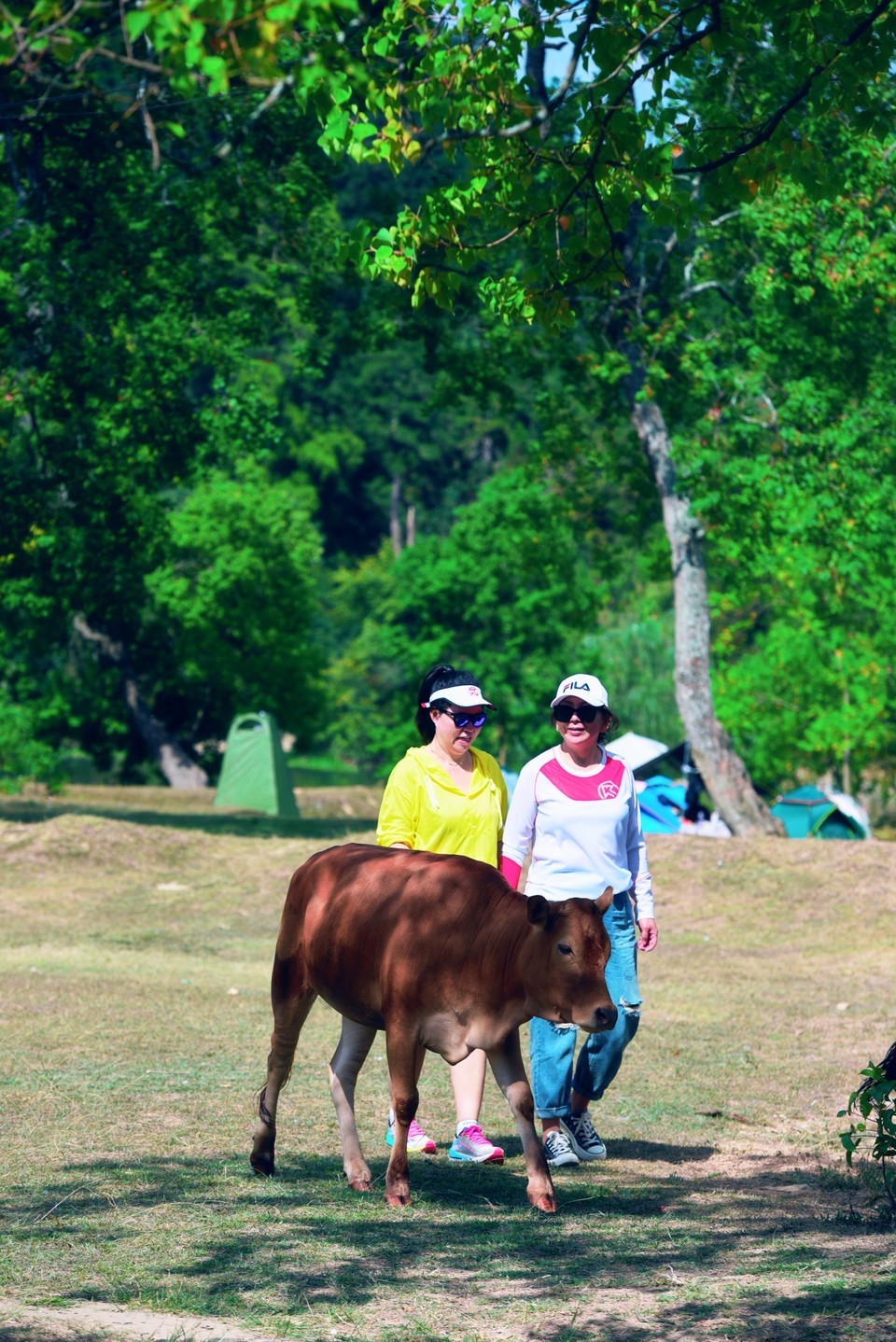 3msNJ4zhJdVFzMpnj1rHpsEO5WKImd8Ljl__Ob3c3LEchFpKZXFabYKePcrdhcTE