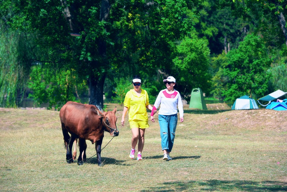 3msNJ4zhJdVFzMpnj1rHpnkdNg8ETW_jS5TIE-TIeMnh6a1aZQaJW8m6cjxXDhN4