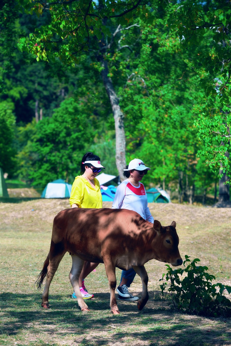 Ctg4-g-LgkNUGXL-_6BHYBE6-K6-GQRlN9wRBrteRhQj7rYes42S2wJK4OqWUErj