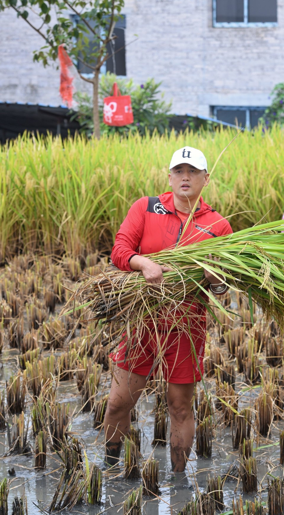 0mlJiMW0WAH3HXGg732nS0gFKO1ytKvTwUrev611FfbYmJTjWJI8jiooKrGPkGNP