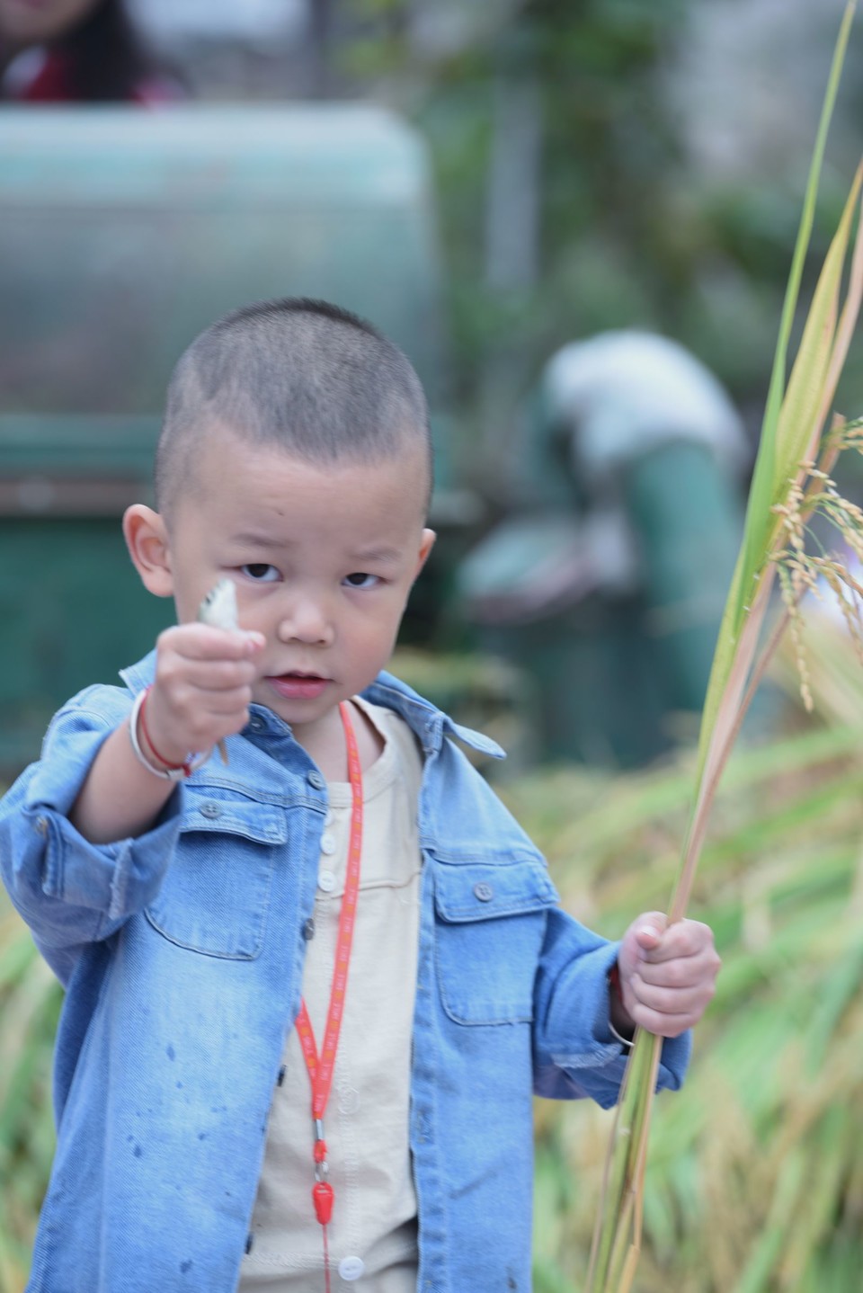 Zvgc5IxbB93M3Z8ZPtfB81ll42l_vU9R7fQz5fU8LqkS7ffmH8UUVDfzdMX4O6xq