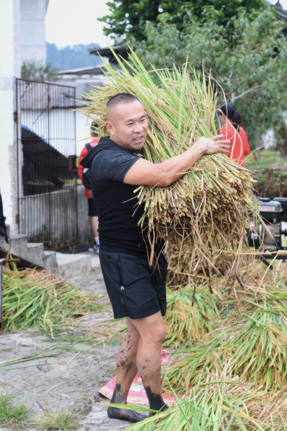 Zvgc5IxbB93M3Z8ZPtfB83XIWkNcz62istuz-JUsekFohwWZls_U8mRG44cFoymE