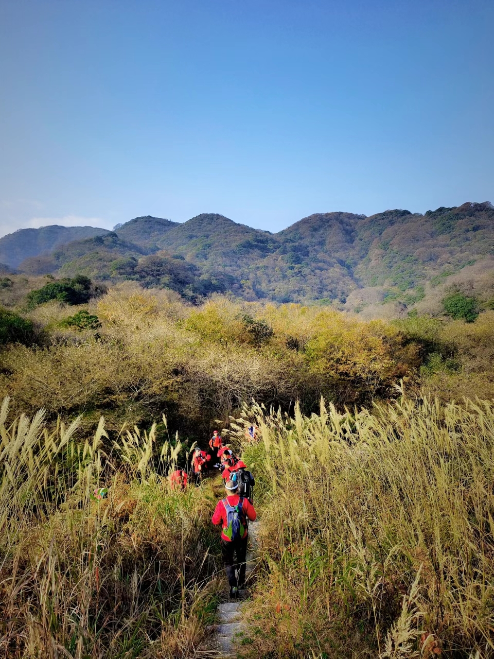 dYofkyX3mPPYdaQDROE1BrGi8B7rqJ0J7YRX3uMcNE6y5qqjl5hjt4bop6lVCWTg