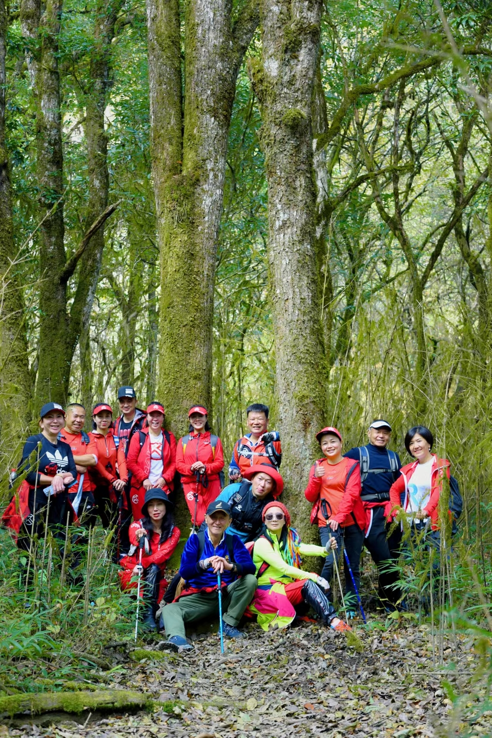 dYofkyX3mPPYdaQDROE1BqEh6iJePfZ61sMT63v8csfuzpylXnEYZblMxyV23PBS