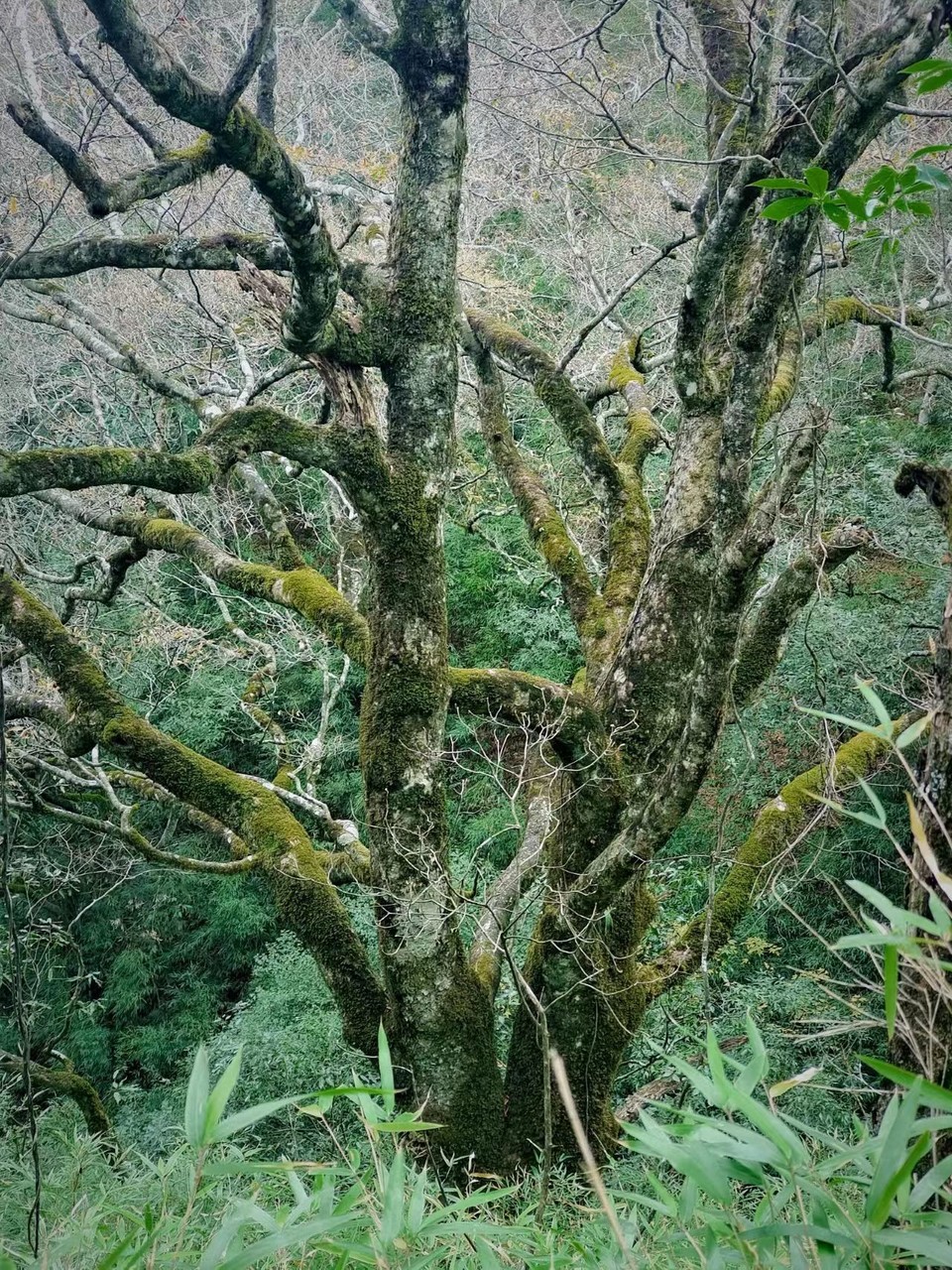 dYofkyX3mPPYdaQDROE1Bg62_-4xPtRPVa-GMijvdGjzN1nPpaVNSzNxCOGnGnhh