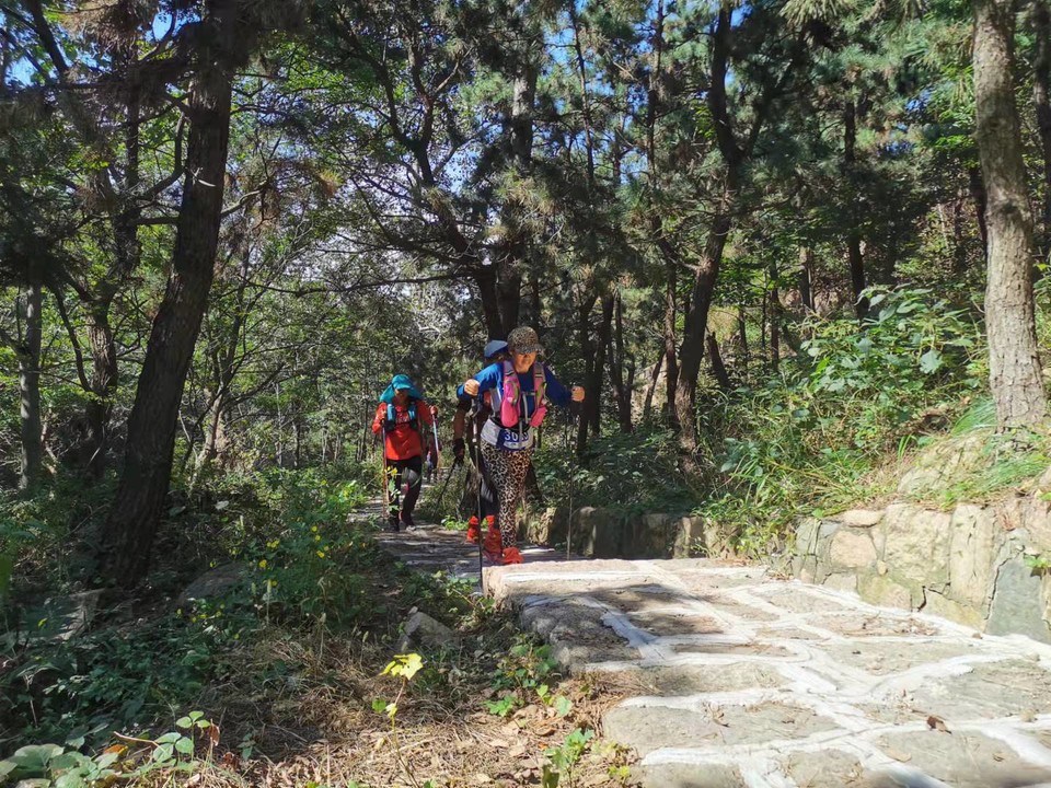 Emc9gCYt0m2hv8vtMj61wFZKtQDbEIr32PGgf9Y7QgpGPgXlqpJWSseQHCvOajE3