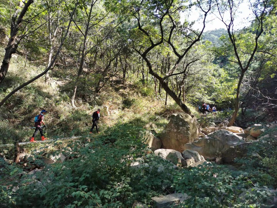 Emc9gCYt0m2hv8vtMj61wJI0GhF4K3CwlNIStnq8jesBo3NEeXAX77lQEYu5OIT0