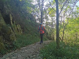 Emc9gCYt0m2hv8vtMj61wFb5pzwAF0nMrmSeiPSp7cD-SgeklHMR9UDX-JBgU-v-