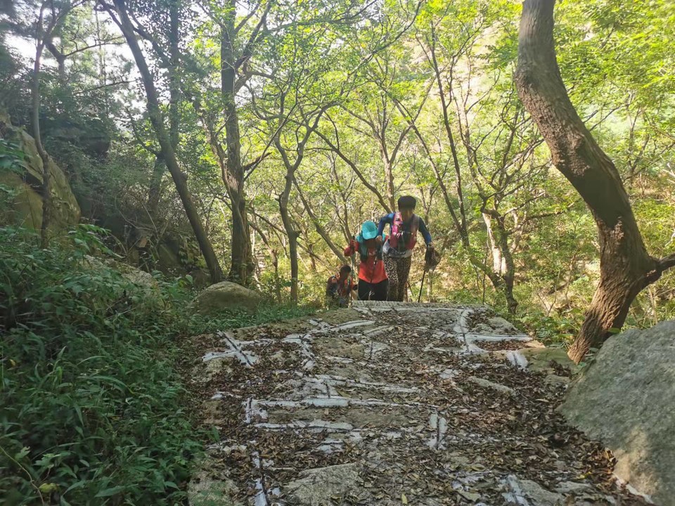 Emc9gCYt0m2hv8vtMj61wLqbTiqyeKeZdBAPu48opUx83fCxLXBibgt2yB1fyWuo