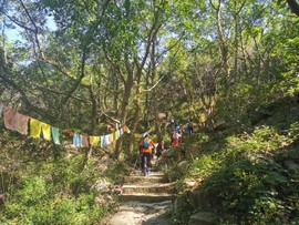 Emc9gCYt0m2hv8vtMj61wCx65gqZsZletcBBq6RL3K1uqdfyAbAElfcZliUf3iry