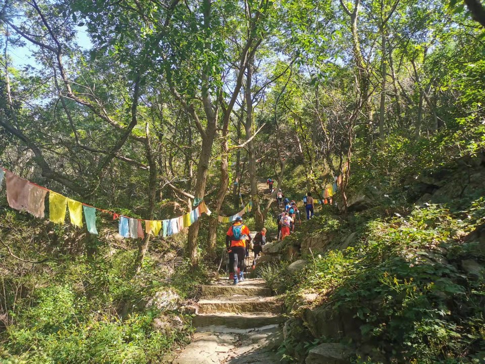 Emc9gCYt0m2hv8vtMj61wCx65gqZsZletcBBq6RL3K1uqdfyAbAElfcZliUf3iry