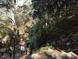 yJeSU0UVJrKpd4oFwoIRM1myOQCZlh6I6wb3M6wPg-9orqW2rvdm9m5uf4nrHNcO