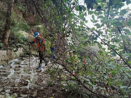 yJeSU0UVJrKpd4oFwoIRM1Y-1Ts7EknIUuILIeSBMr7OW954un6tk8FwR41tPX4s