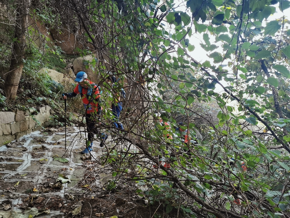 yJeSU0UVJrKpd4oFwoIRM1Y-1Ts7EknIUuILIeSBMr7OW954un6tk8FwR41tPX4s