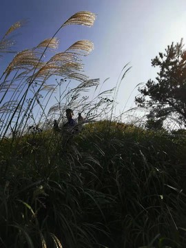 O_lVdEz4aUtqUKLYLy9SrKQWvhnWgQCaEAz-2i_wIYZIkjDalfiqmWE6nJKn0PjW