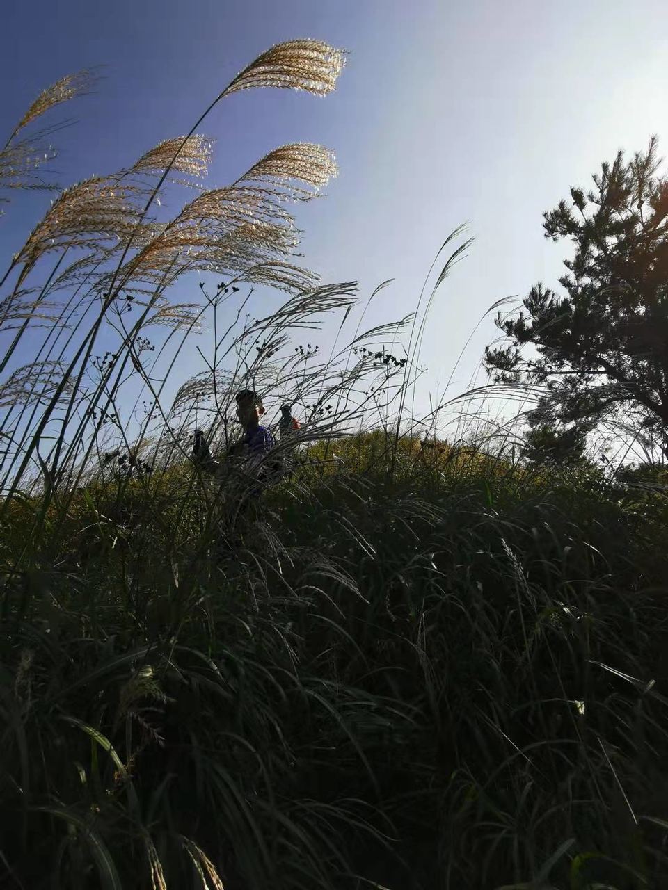 O_lVdEz4aUtqUKLYLy9SrKQWvhnWgQCaEAz-2i_wIYZIkjDalfiqmWE6nJKn0PjW