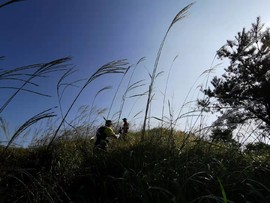 O_lVdEz4aUtqUKLYLy9SrE3bKJHQ8YqmOYezTJLBZovcIyMZJDWsIXuYHXOD8kA9