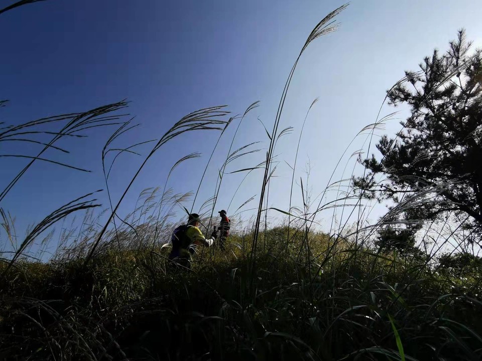 O_lVdEz4aUtqUKLYLy9SrE3bKJHQ8YqmOYezTJLBZovcIyMZJDWsIXuYHXOD8kA9