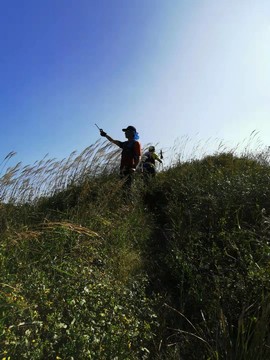 O_lVdEz4aUtqUKLYLy9SrPSAVSKwJZS_ibuBPrL5DH5xfVDqVIGtGlCfo4-CZich