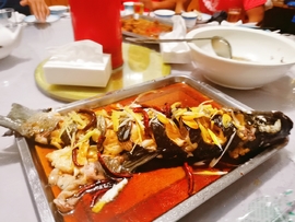 LdKMSikxxo70SypePfzjGLtmaQzHjpCkgPioH3W_o1b4GE99XXWuTDSP7Yb09Duc